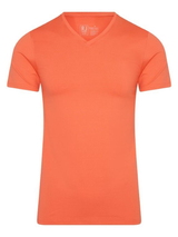 RJ Bodywear Men Pure Color coral shirt