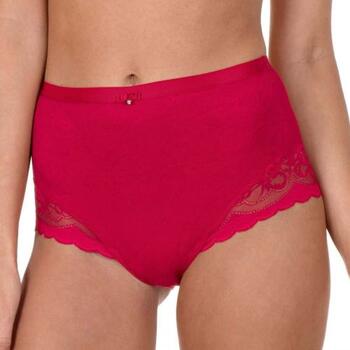 Lisca Evelyn Rood High Brief