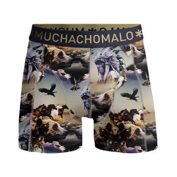 Muchachomalo Bear Multicolor Boxershort