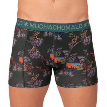 Muchachomalo Frogger Groen/Print Modal Boxershort