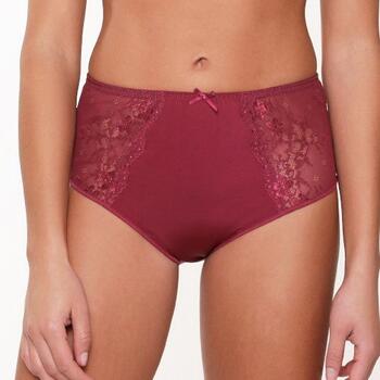 LingaDore Daily Maxi Slip Port High Brief