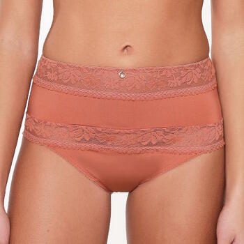 LingaDore Ginger Bread Bruin High Brief