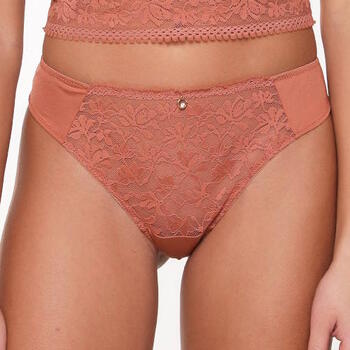 LingaDore Ginger Bread Bruin String