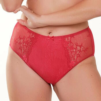 LingaDore Daily Maxi Slip  High Brief