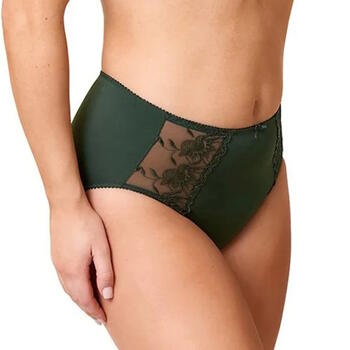 Elbrina Helen Groen High Brief