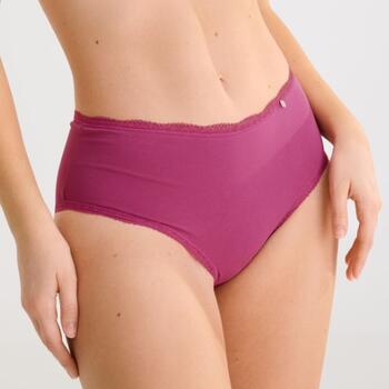 Lisca Robin Roze High Brief