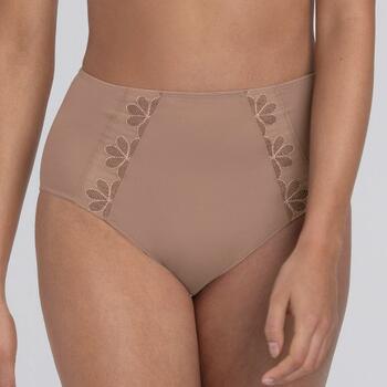 Anita Sophia  High Brief