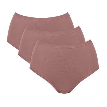Sloggi GO Daily Cotton Bruin High Brief