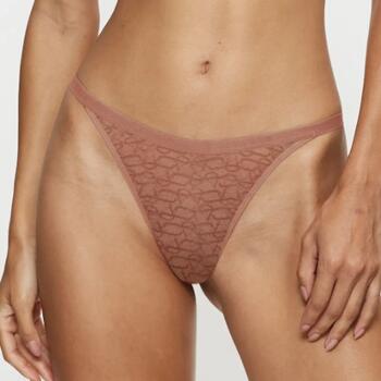 Triumph Signature Sheer Bruin String
