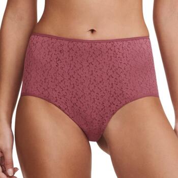 Chantelle Norah Rood High Brief