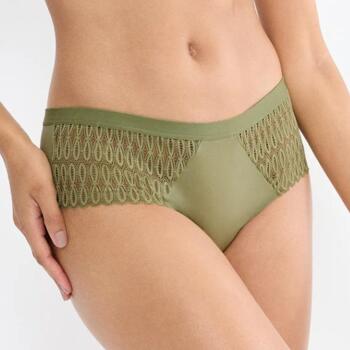 Triumph Aura Spotlight Olijf Groen Slip