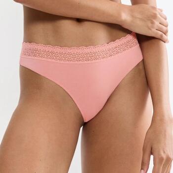 Triumph Feel of Modal Roze String