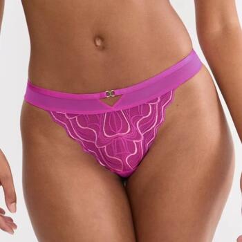 Triumph Palina Waves of Glow Plum String