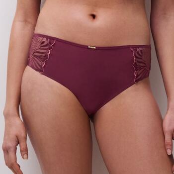 Chantelle Legend Aubergine Short