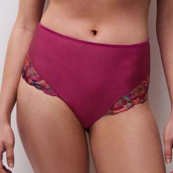 Chantelle Lily Fuchsia High Brief