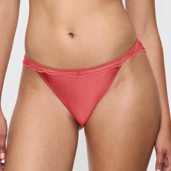 Triumph Crazy Stupid Love Highleg Tai Blood Orange
