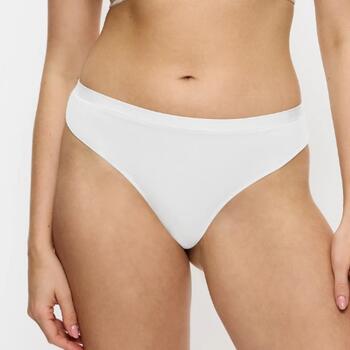 Triumph Sense of Modal String White