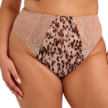 Elomi Lucie Wildcat High Leg Brief