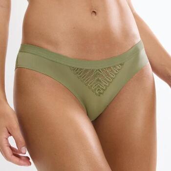 Triumph Aura Spotlight T Brazilian Olive Gold
