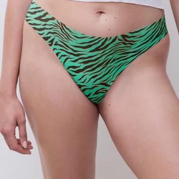 Chantelle Pulpies Thong Emerald Zebra