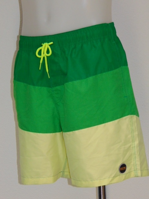 Shiwi Heren Complexion groen zwemshort