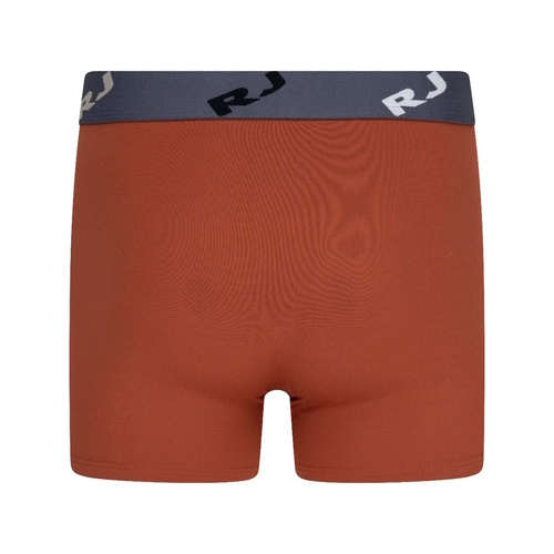 RJ Bodywear Men Pure Color cognac sport boxer