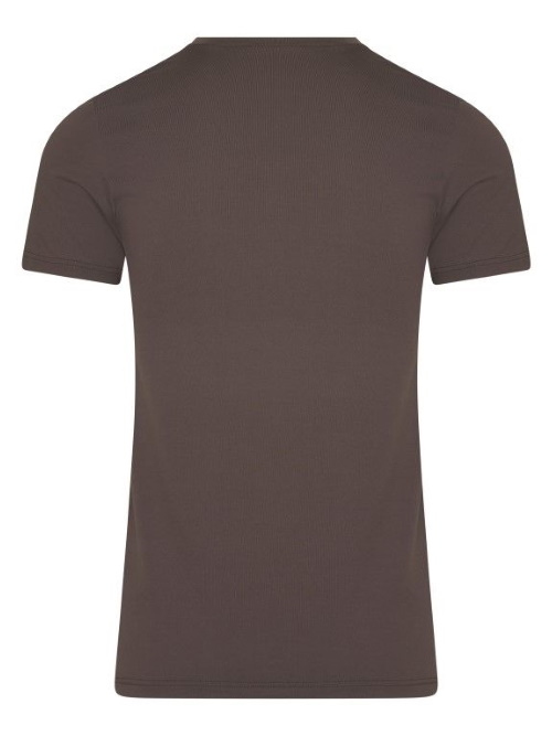 RJ Bodywear Men Pure Color bruin shirt