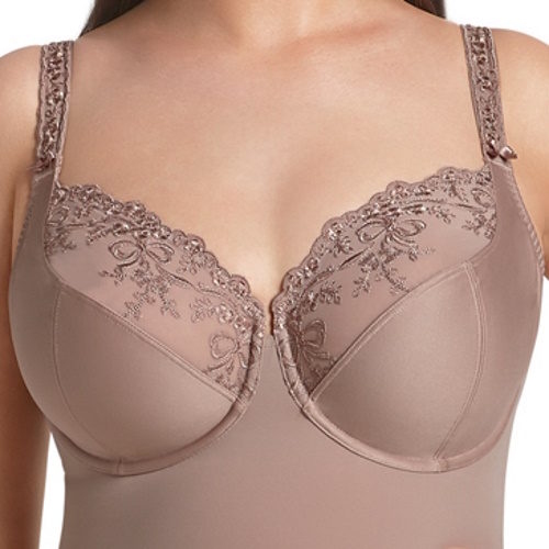 Rosa Faia Scarlett antique rose body