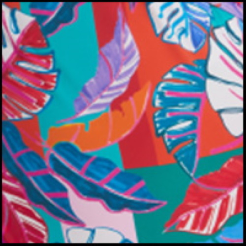 Rosa Faia Badmode Bonny multicolor/print bikini broekje