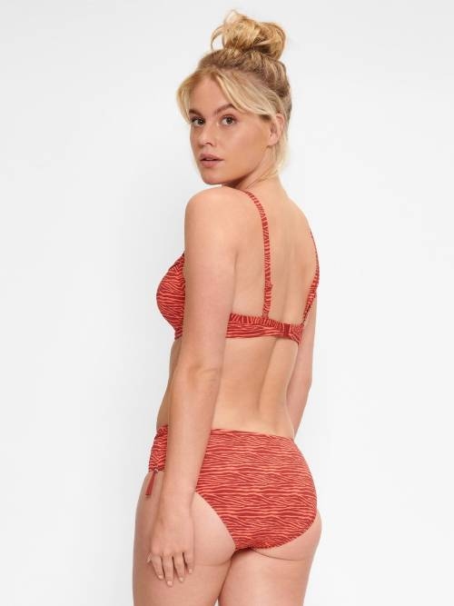 LingaDore Beach Bright Zebra animal print voorgevormde bikinitop