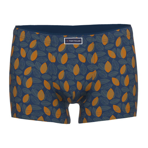 Tom Tailor Autumn grijs/oranje sport boxer