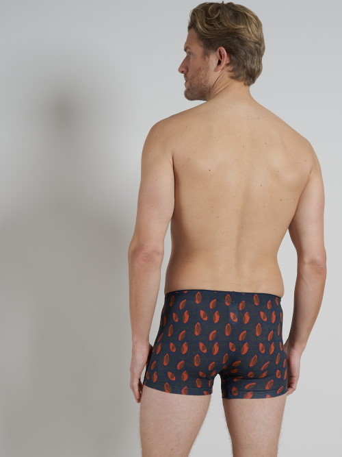 Tom Tailor Autumn grijs/oranje sport boxer