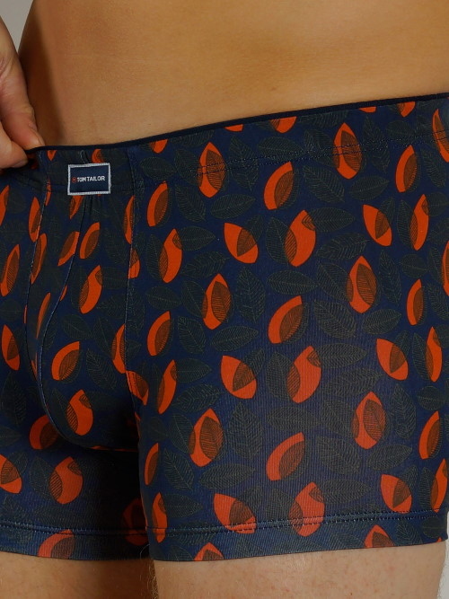 Tom Tailor Autumn grijs/oranje sport boxer