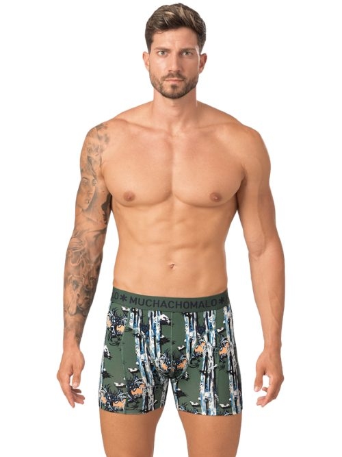 Muchachomalo Chasing Waterfalls groen/print boxershort