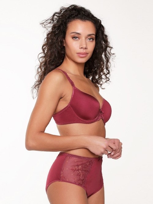 LingaDore Daily Maxi Slip port high brief