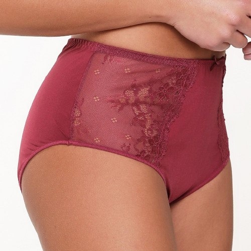 LingaDore Daily Maxi Slip port high brief