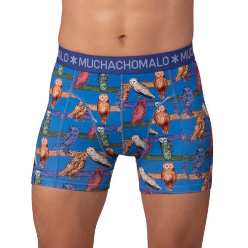 Muchachomalo Owl cobalt boxershort
