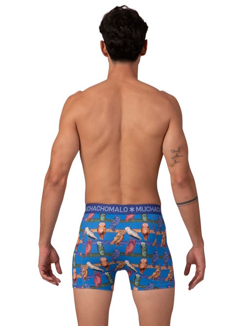 Muchachomalo Owl cobalt boxershort