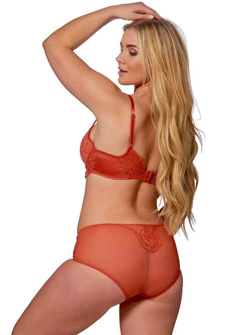 After Eden D-Cup & Up Tessa  high brief