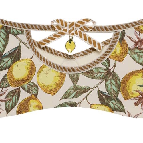 Marlies Dekkers Mambo ivoor/print push up bh