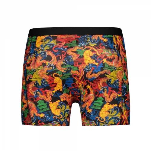 Beat My Boxer Dragon multicolor/print boxershort