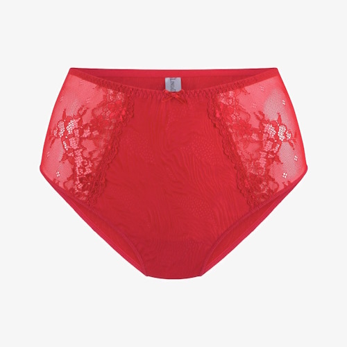 LingaDore Daily Maxi Slip  high brief