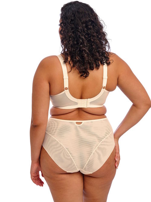 Elomi Priya ivoor high brief
