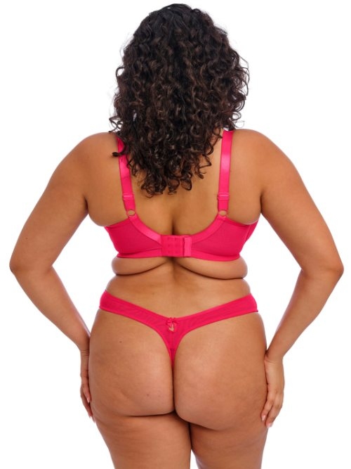 Elomi Teagan fuchsia voorgevormde bh
