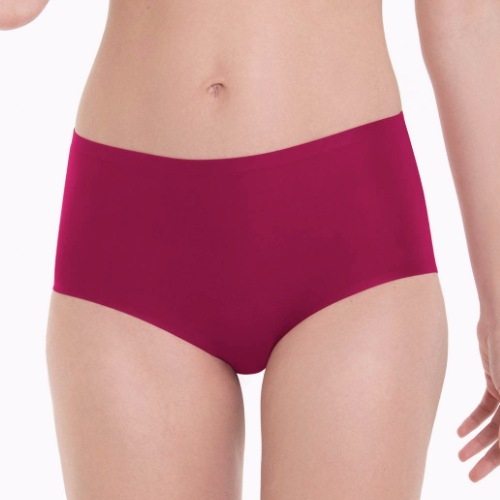 Anita Essential powder high brief