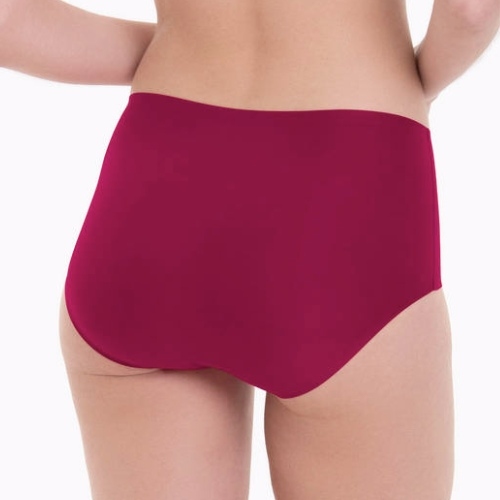 Anita Essential powder high brief