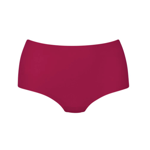 Anita Essential powder high brief
