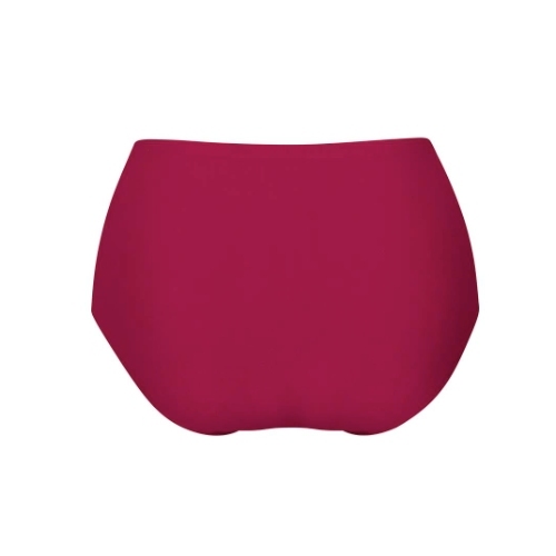 Anita Essential powder high brief