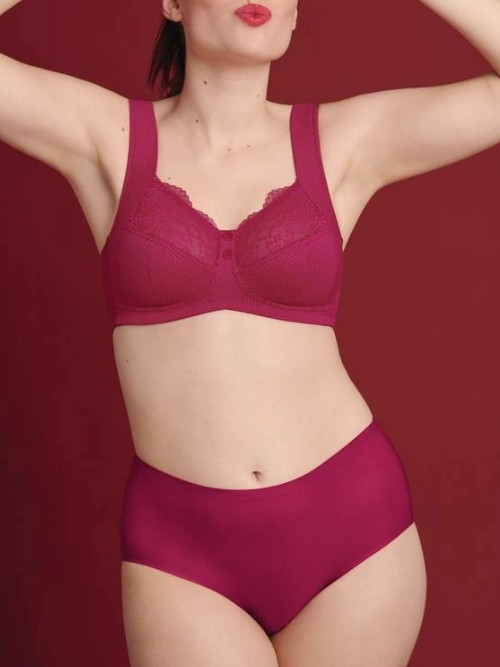 Anita Essential powder high brief