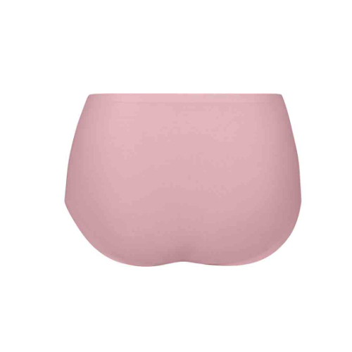 Anita Essential rosewood high brief